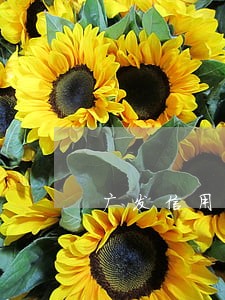 广发信用卡 逾期2天 利息